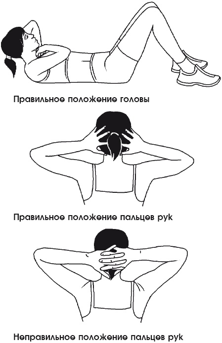 Тренируем мышцы живота и спины за 10 минут в день Тренируем мышцы живота и спины за 10 минут в день
