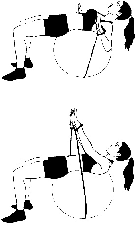 Тренируем мышцы груди и рук 10 минут в день Тренируем мышцы груди и рук 10 минут в день