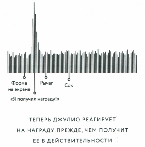 Сила привычки. Почему мы живем и работаем именно так, а не иначе Сила привычки. Почему мы живем и работаем именно так, а не иначе
