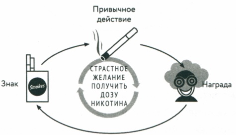 Сила привычки. Почему мы живем и работаем именно так, а не иначе Сила привычки. Почему мы живем и работаем именно так, а не иначе