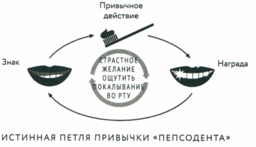 Сила привычки. Почему мы живем и работаем именно так, а не иначе Сила привычки. Почему мы живем и работаем именно так, а не иначе
