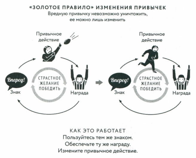 Сила привычки. Почему мы живем и работаем именно так, а не иначе Сила привычки. Почему мы живем и работаем именно так, а не иначе