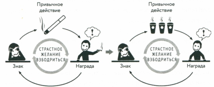 Сила привычки. Почему мы живем и работаем именно так, а не иначе Сила привычки. Почему мы живем и работаем именно так, а не иначе