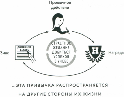 Сила привычки. Почему мы живем и работаем именно так, а не иначе Сила привычки. Почему мы живем и работаем именно так, а не иначе
