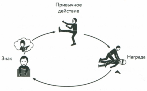 Сила привычки. Почему мы живем и работаем именно так, а не иначе Сила привычки. Почему мы живем и работаем именно так, а не иначе
