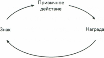 Сила привычки. Почему мы живем и работаем именно так, а не иначе Сила привычки. Почему мы живем и работаем именно так, а не иначе