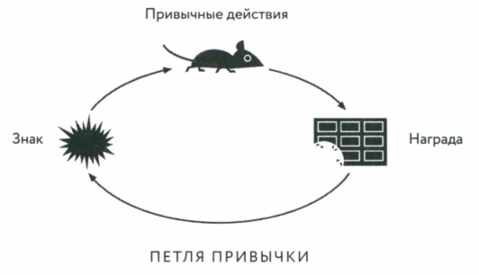 Сила привычки. Почему мы живем и работаем именно так, а не иначе Сила привычки. Почему мы живем и работаем именно так, а не иначе
