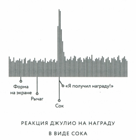 Сила привычки. Почему мы живем и работаем именно так, а не иначе Сила привычки. Почему мы живем и работаем именно так, а не иначе