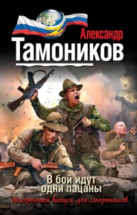 В бой идут одни пацаны - Александр Тамоников - Читать книги онлайн | Слушать аудиокниги онлайн | Электронная библиотека books-lib.com