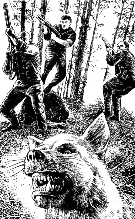 Война - дело семейное. Перехват Война - дело семейное. Перехват