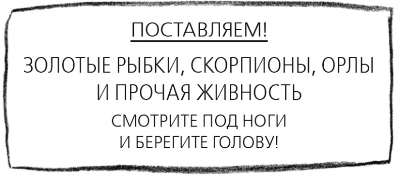 Мальчик, который плавал с пираньями Мальчик, который плавал с пираньями