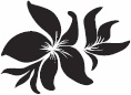 Я - Агата Кристи Я - Агата Кристи