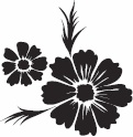 Я - Агата Кристи Я - Агата Кристи