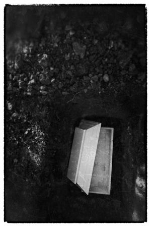 Дом темных загадок Дом темных загадок