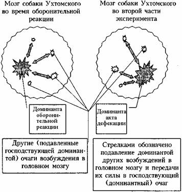 Как избавиться от тревоги, депрессии и раздражительности - Андрей Владимирович Курпатов