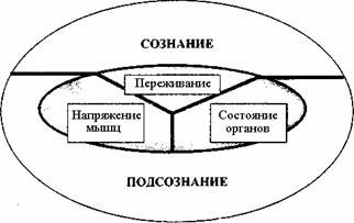 Как избавиться от тревоги, депрессии и раздражительности - Андрей Владимирович Курпатов