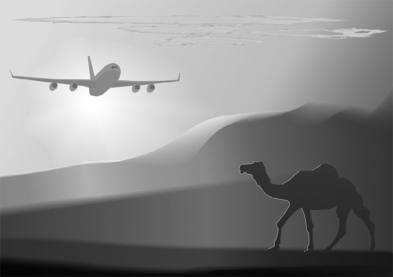 Подарок Сахары Подарок Сахары