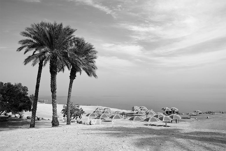 Подарок Сахары Подарок Сахары