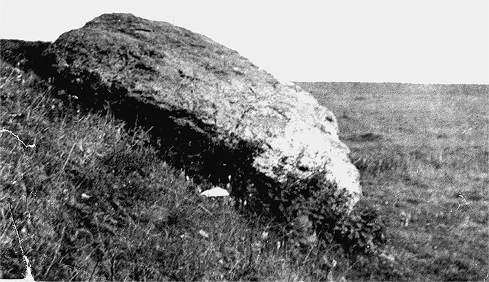 Русь колыбельная. Северная прародина славян. Арктида, Гиперборея и Древняя Русь Русь колыбельная. Северная прародина славян. Арктида, Гиперборея и Древняя Русь