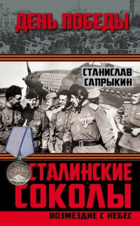 Сталинские соколы. Возмездие с небес - Станислав Сапрыкин - Читать книги онлайн | Слушать аудиокниги онлайн | Электронная библиотека books-lib.com