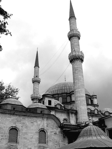 Роксолана. Ведьма Османского гарема Роксолана. Ведьма Османского гарема