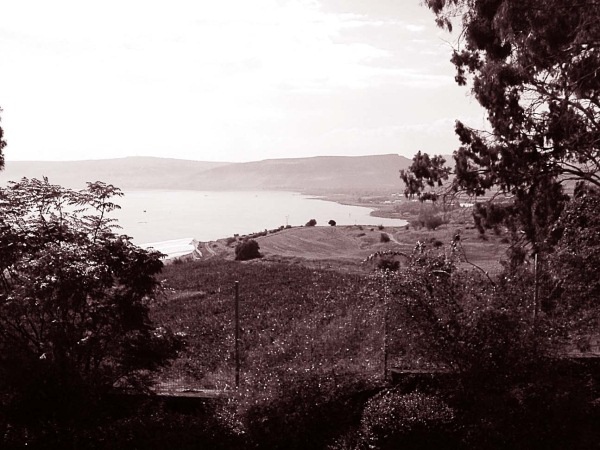 Мария Магдалина. Тайная супруга Иисуса Христа Мария Магдалина. Тайная супруга Иисуса Христа