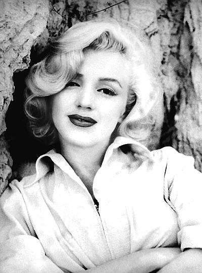 Мэрилин Монро. Жизнь в мире мужчин Мэрилин Монро. Жизнь в мире мужчин