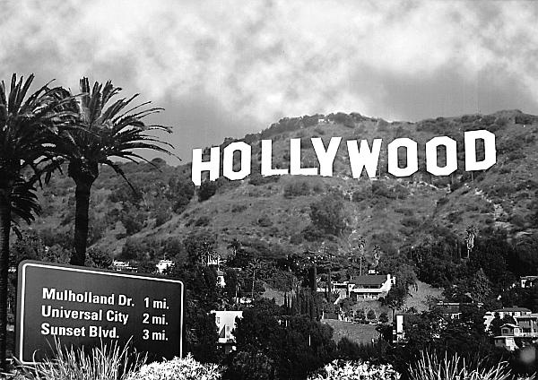 Мэрилин Монро. Жизнь в мире мужчин Мэрилин Монро. Жизнь в мире мужчин