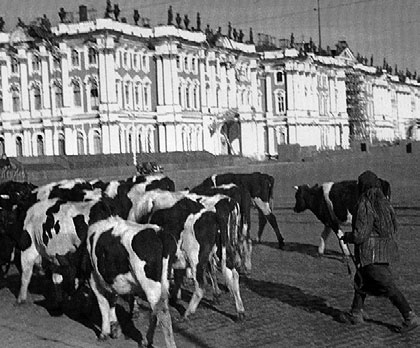 Блокада Ленинграда. Полная хроника - 900 дней и ночей Блокада Ленинграда. Полная хроника - 900 дней и ночей