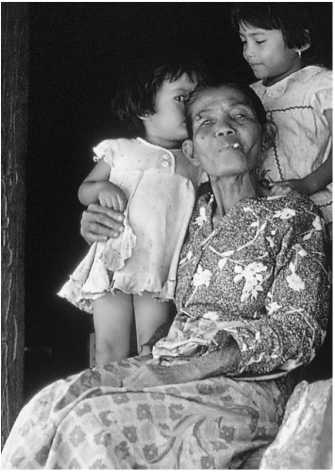 Секс на заре цивилизации. Эволюция человеческой сексуальности с доисторических времен до наших дней Секс на заре цивилизации. Эволюция человеческой сексуальности с доисторических времен до наших дней