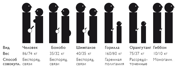 Секс на заре цивилизации. Эволюция человеческой сексуальности с доисторических времен до наших дней Секс на заре цивилизации. Эволюция человеческой сексуальности с доисторических времен до наших дней