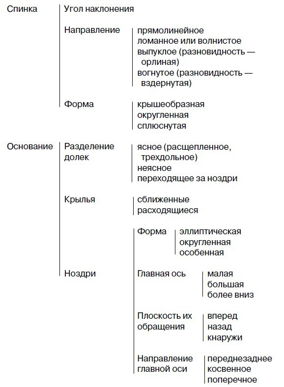 Физиогномика и выражение чувств Физиогномика и выражение чувств