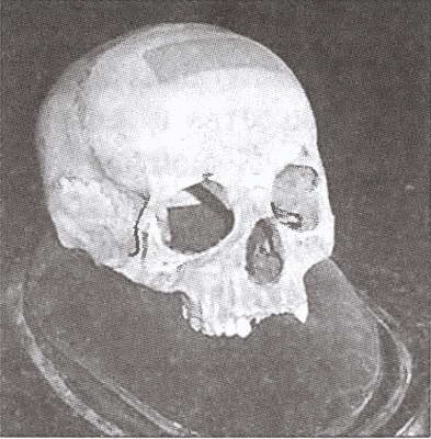 Вена. История. Легенды. Предания Вена. История. Легенды. Предания