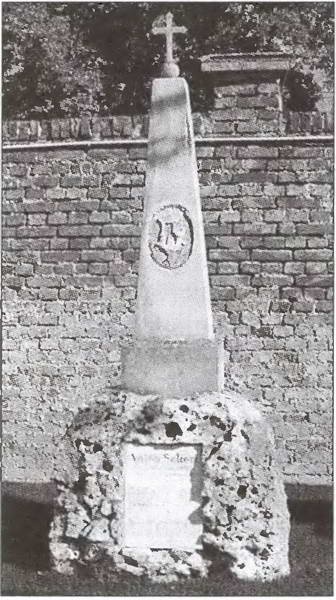 Вена. История. Легенды. Предания Вена. История. Легенды. Предания