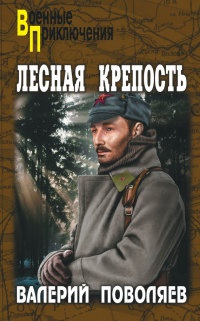 Лесная крепость - Валерий Поволяев - Читать книги онлайн | Слушать аудиокниги онлайн | Электронная библиотека books-lib.com