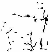 Занимательная психология Занимательная психология