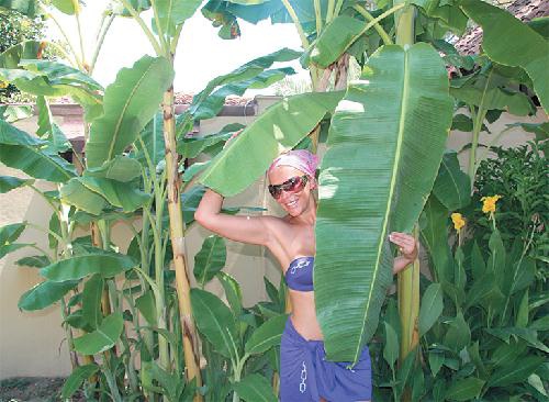 Встань и живи, или Там, где другие тормозят, я жму на газ! Встань и живи, или Там, где другие тормозят, я жму на газ!