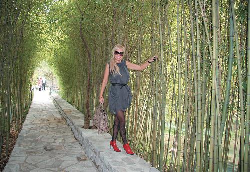 Встань и живи, или Там, где другие тормозят, я жму на газ!