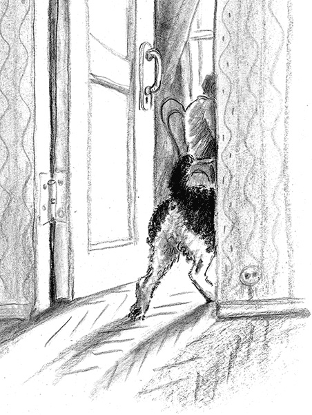 Приключения Джерика Приключения Джерика