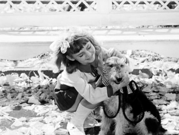 Приключения Джерика Приключения Джерика