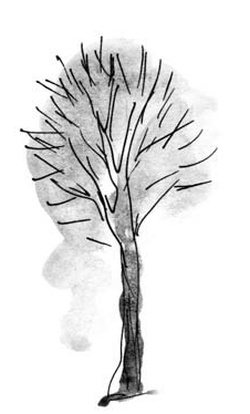 Скажи, Лиса! Скажи, Лиса!