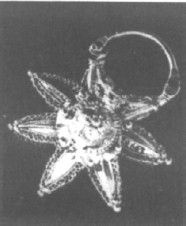 Азиатская Европа Азиатская Европа