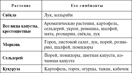 Умное сыроедение. Пища для тела, души и духа Умное сыроедение. Пища для тела, души и духа