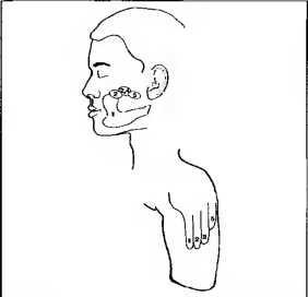 Рождение разума. Загадки нашего сознания Рождение разума. Загадки нашего сознания