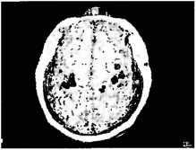 Рождение разума. Загадки нашего сознания Рождение разума. Загадки нашего сознания