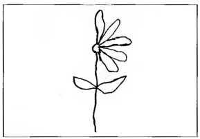 Рождение разума. Загадки нашего сознания Рождение разума. Загадки нашего сознания