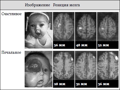 Счастье. Уроки новой науки Счастье. Уроки новой науки