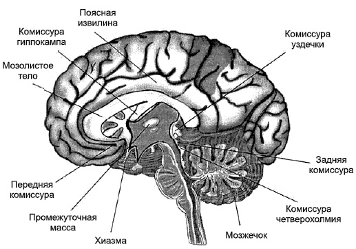 Психология детского творчества Психология детского творчества