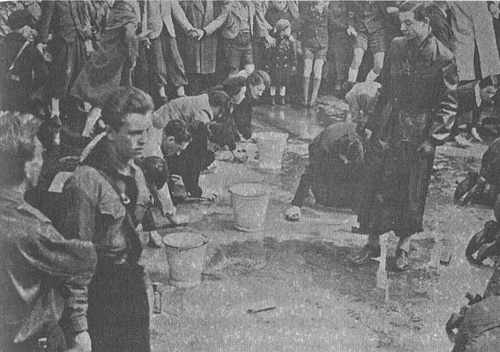 В поисках памяти В поисках памяти