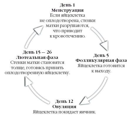 Дочковедение. Отцы, воспитывающие дочерей Дочковедение. Отцы, воспитывающие дочерей